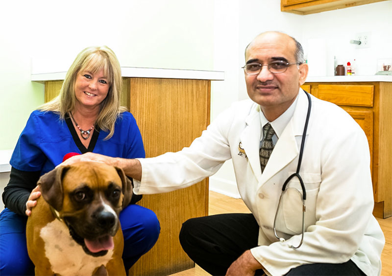 Our Team | Gentle Care Veterinary Clinic